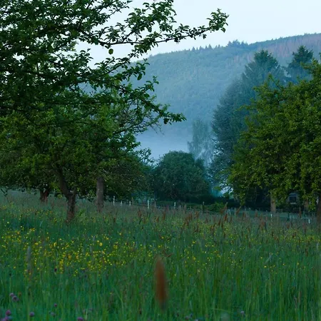 Reinette Lippoldsberg