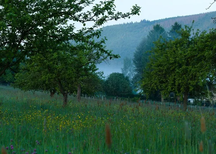 Reinette Lippoldsberg